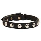 "Shiny Elegance" Leather Dog Collar for Walking with Nickel Half-Ball Studs