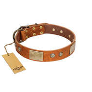 "Ancient Treasures" FDT Artisan Tan Leather Dog Collar with Antiqued Plates and Studs