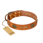 ‘Sun Beams’ FDT Artisan Tan Leather Dog Collar with Decorations