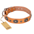 'Twinkle Twinkle' FDT Artisan Incredible Studded Tan Leather Dog Collar