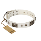 'Terrific Beauty' FDT Artisan Beguiling White Leather Dog Collar