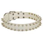 "White Rose" Leather Dog Collar with Nickel Plated Spikes for Walking