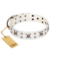 "Skull Island" Premium Quality FDT Artisan White Designer Dog Collar with Crossbones and Studs