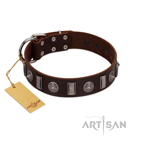 Fabulous FDT Artisan leather dog collar