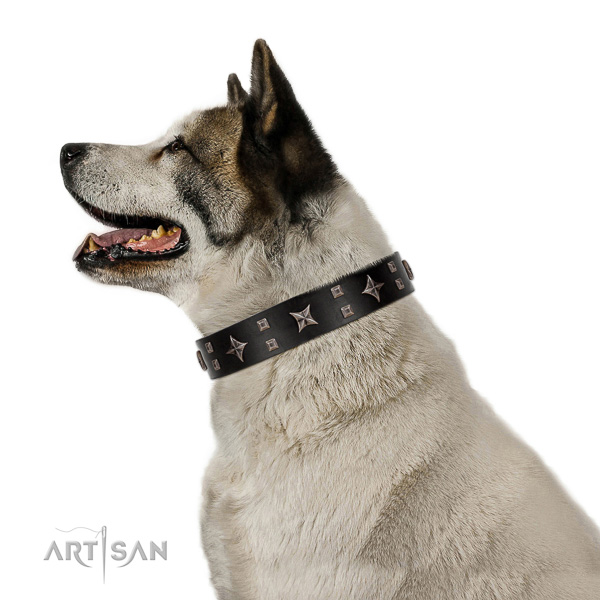 Safe walking leather Akita Inu
collar