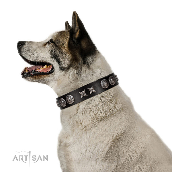 Exclusive walking leather Akita Inu
collar