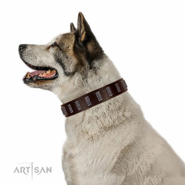 Walking top-notch quality walking leather Akita Inu
collar