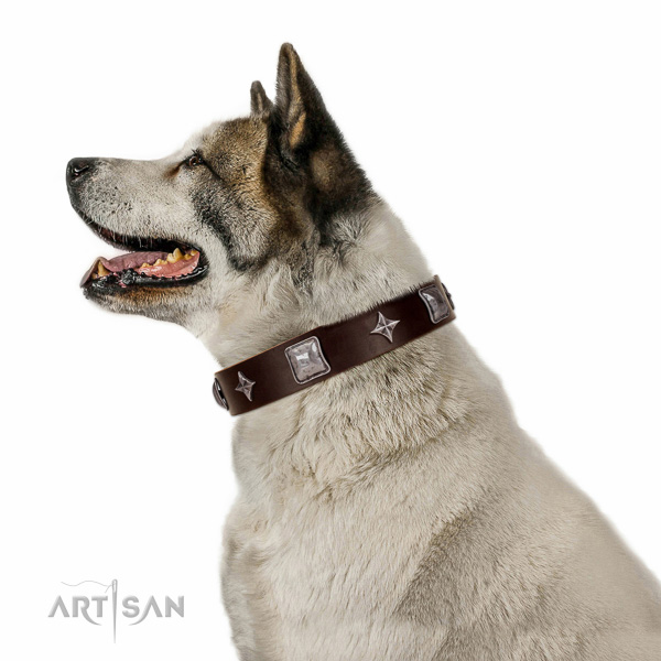 Walking top-notch quality walking leather Akita Inu
collar