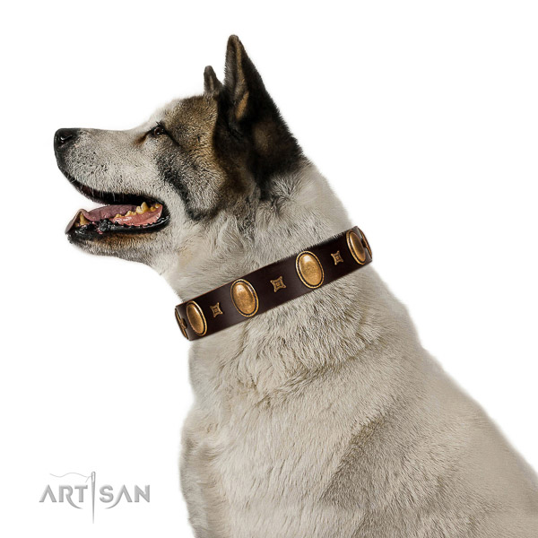 Everyday Use Akita Inu Collar of Comfortable Wearing