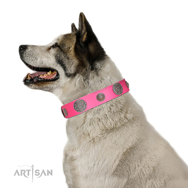 Elegant walking leather Akita Inu
collar