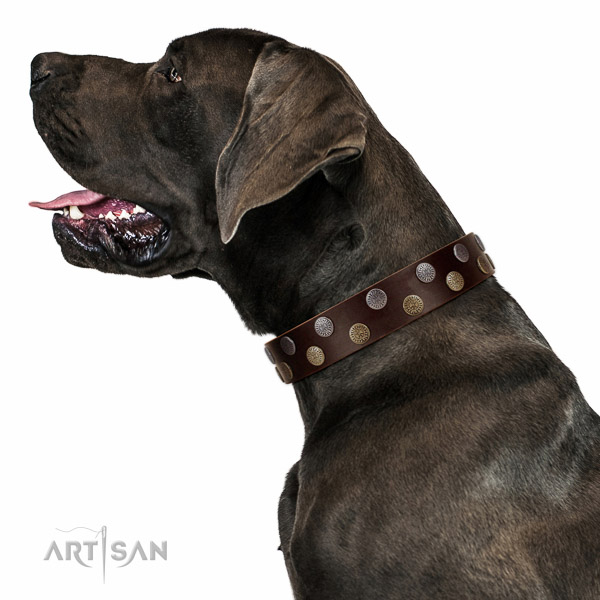 Handmade leather Great Dane collar with
antique design