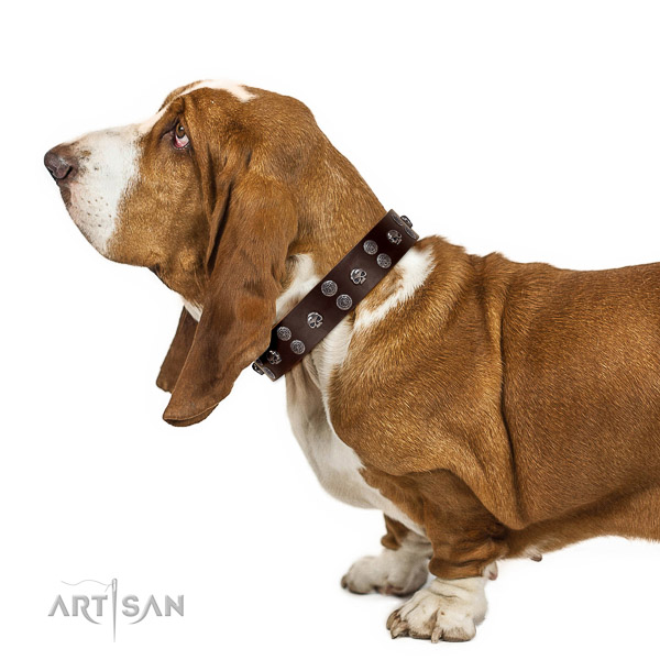 Walking top-notch quality walking leather Basset Hound
collar