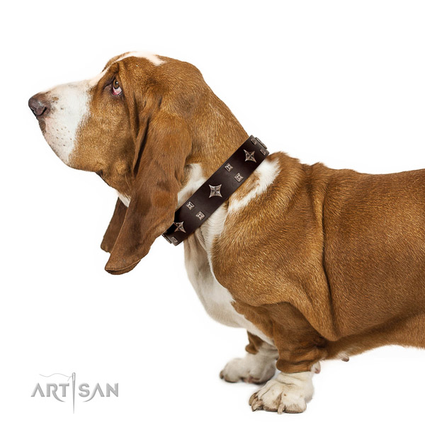 Dashing leather Basset Hound collar for irresistible
look