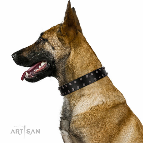 Walking top-notch quality walking leather Belgian-Malinois
collar