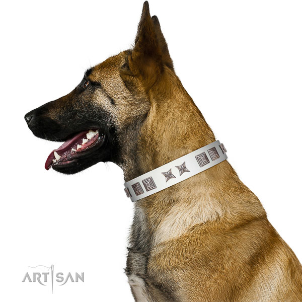 Adjustable leather Belgian Mallinois collar for walking