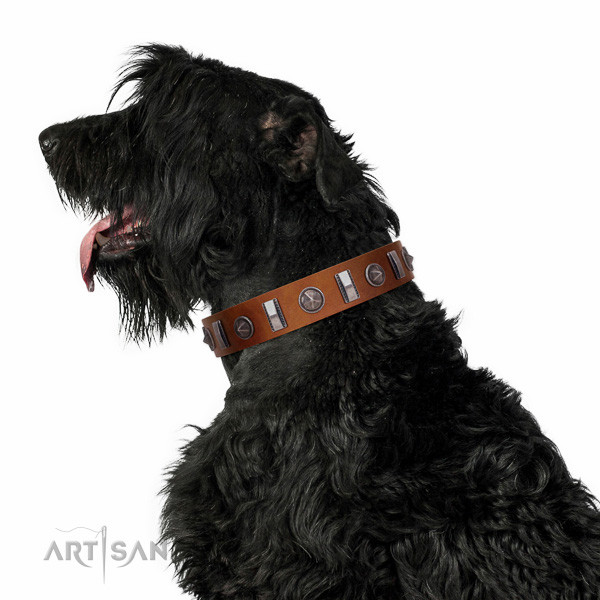 Walking top-notch quality walking leather Black Russian
Terrier collar