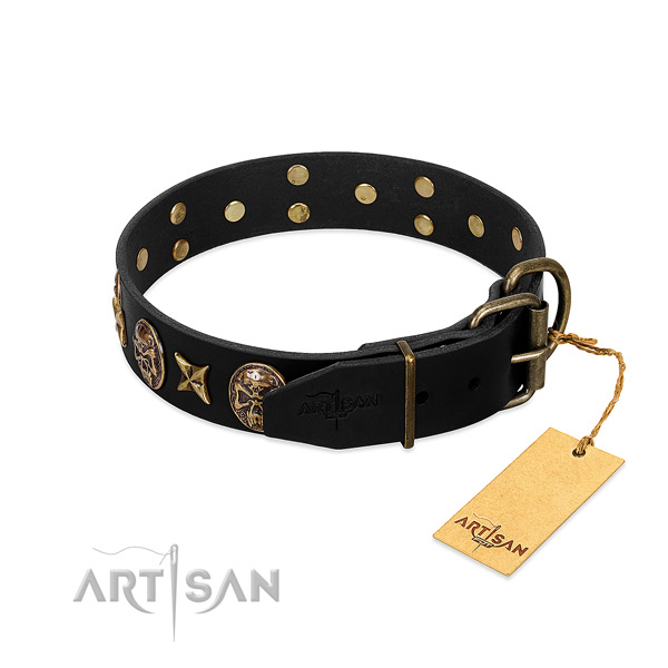 Black dog collar with old bronze-like hardware