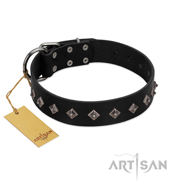 Fabulous FDT Artisan leather dog collar