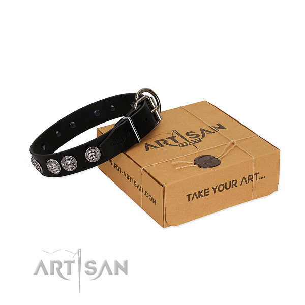 FDT Artisan black leather dog collar for safe walks