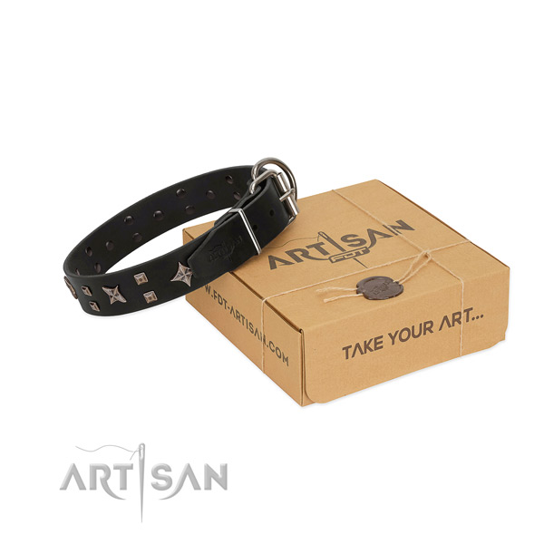 FDT Artisan leather dog collar for pleasant walks