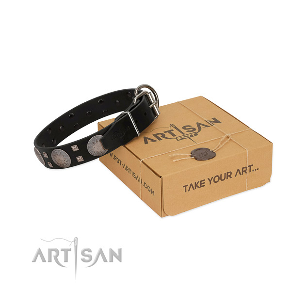 FDT Artisan leather dog collar for comfortable walks