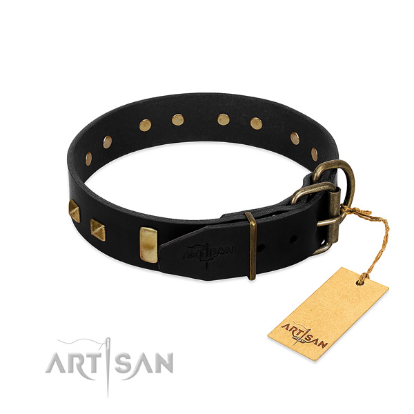 Designer Dog Collar Equipped with Rustproof Hardware