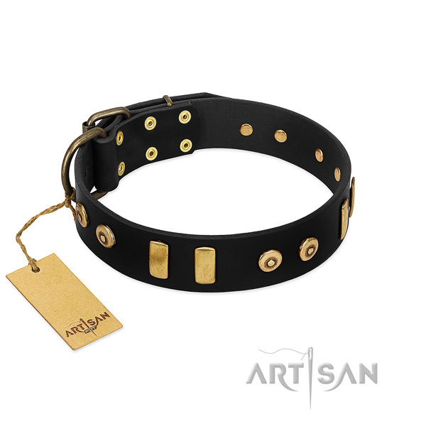 Black dog collar made of top quality materials