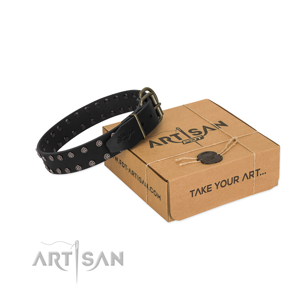 FDT Artisan leather dog collar for walks