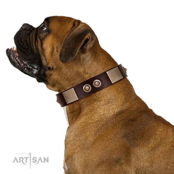 Safe leather Boxer collar without harmful elements