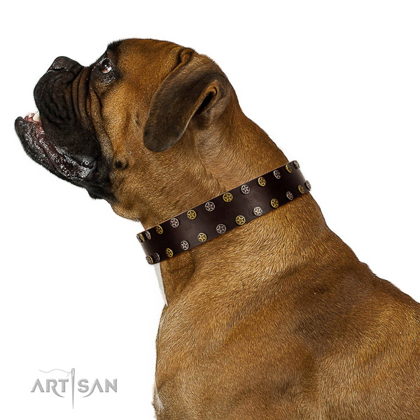 
Artisan leather Boxer collar for perfect control