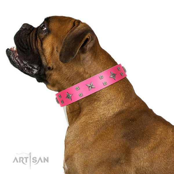 Modern walking leather Boxer
collar