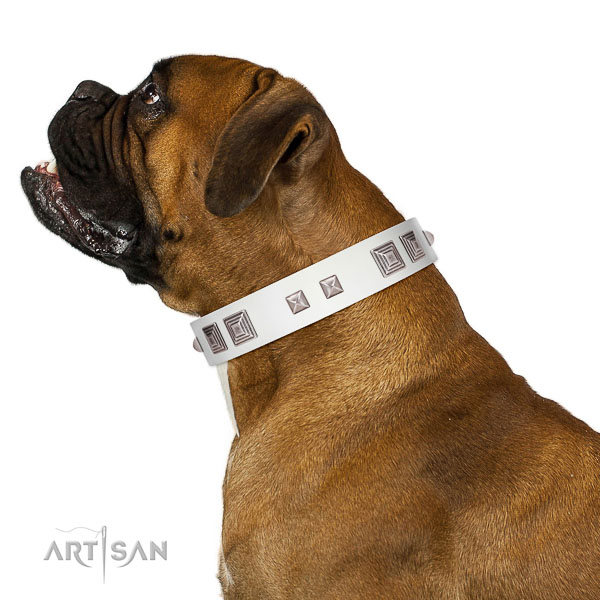 Walking top-notch quality walking leather Boxer
collar