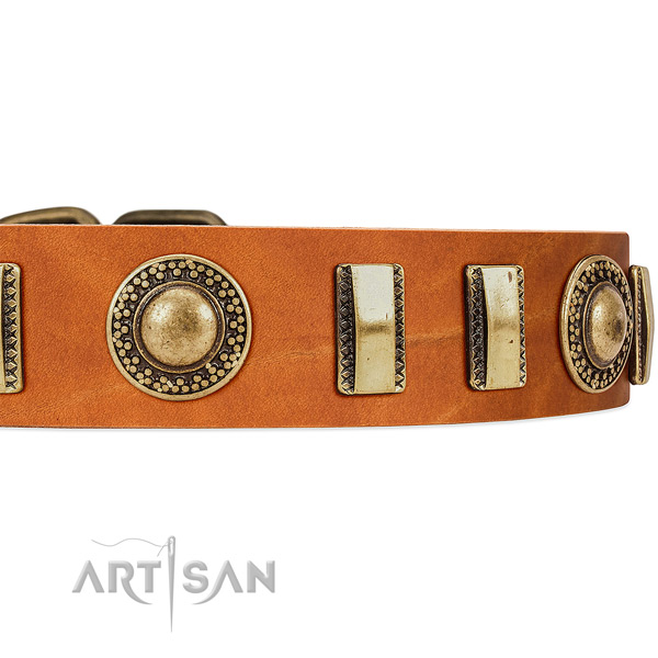 Old Bronze-like Plated Engraved Adornments on Tan Leather
Dog Collar