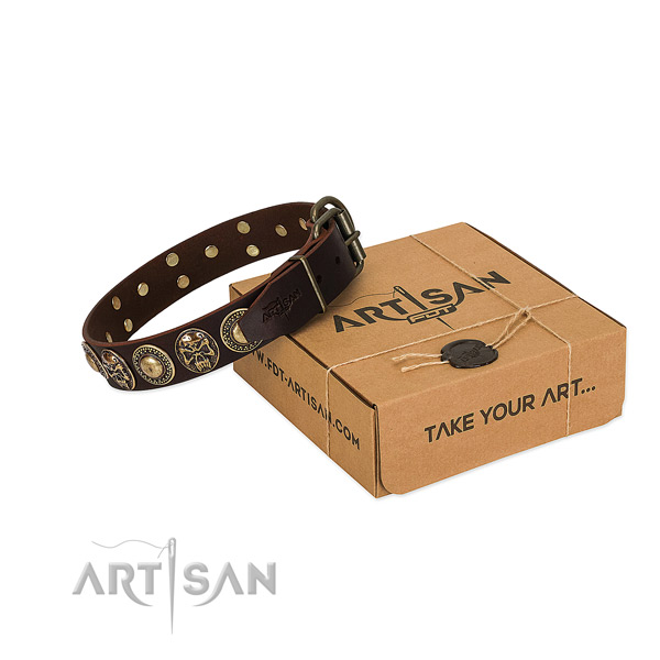 Stylish Dog Collar Adorned with Studs