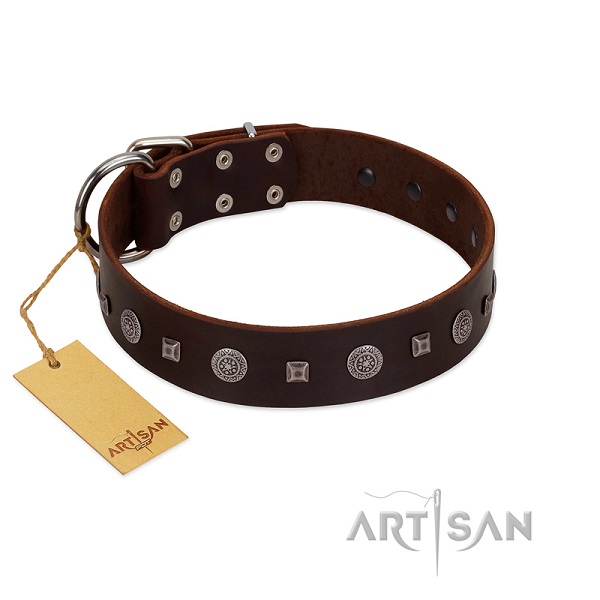 Reliable FDT Artisan leather dog collar