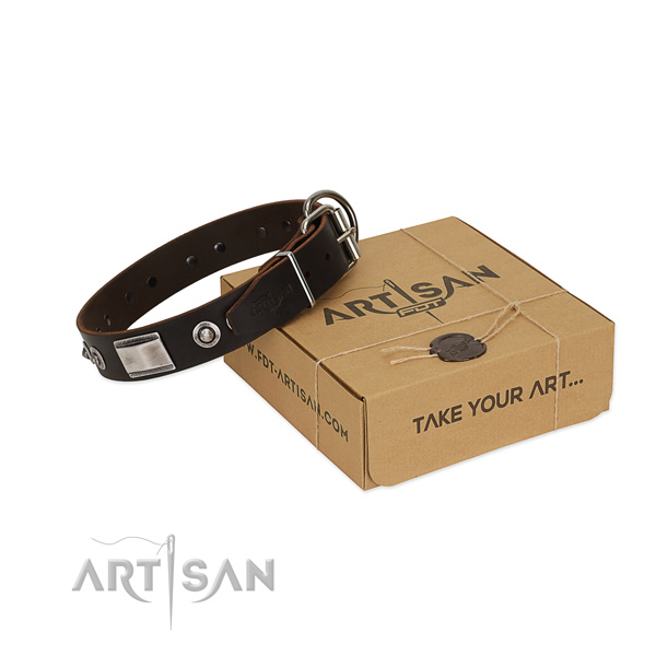 Extraordinary brown leather dog collar for walking