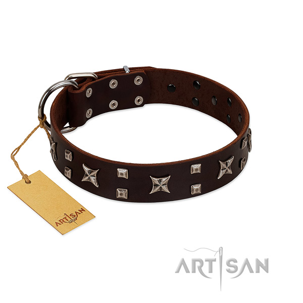 Decorated Brown Leather Dog Collar for Everyday
Activities