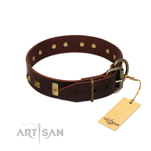 Designer Dog Collar Equipped with Rustproof Hardware