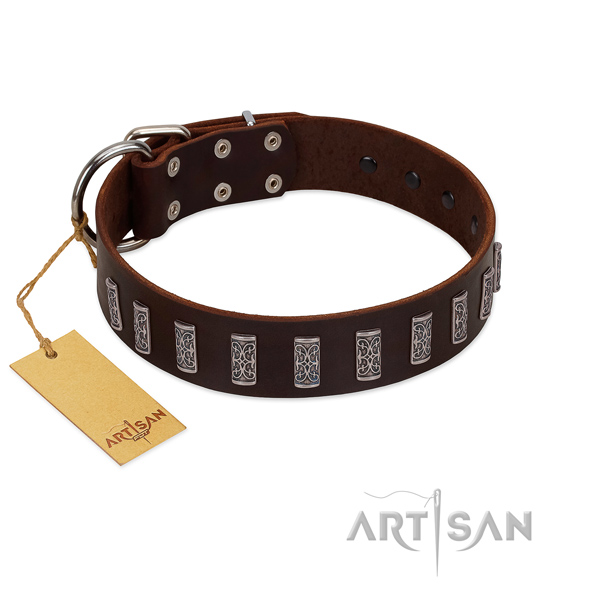 Fabulous FDT Artisan brown leather dog collar