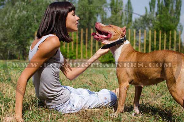 Leather Collar for Pitbull Breed