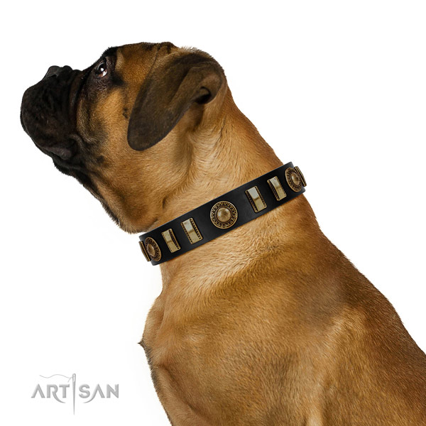 Wonderful Bullmastiff leather collar for everyday
walking