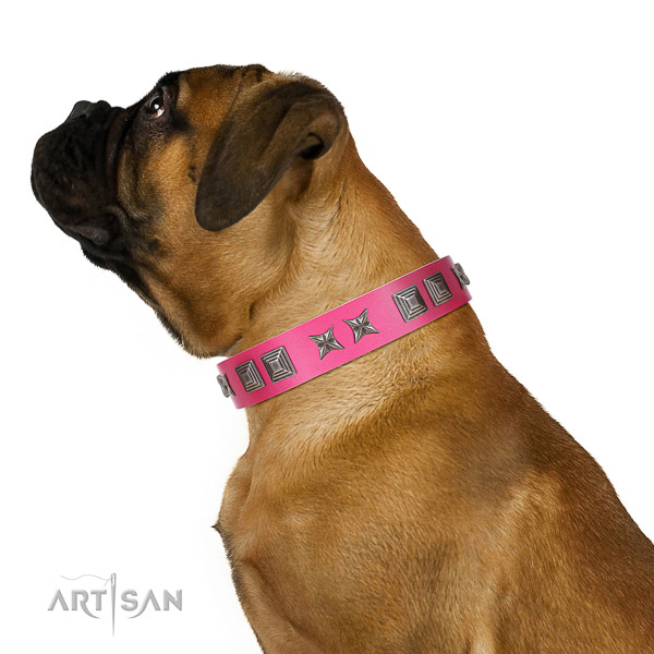 Walking top-notch quality walking leather Bullmastiff
collar