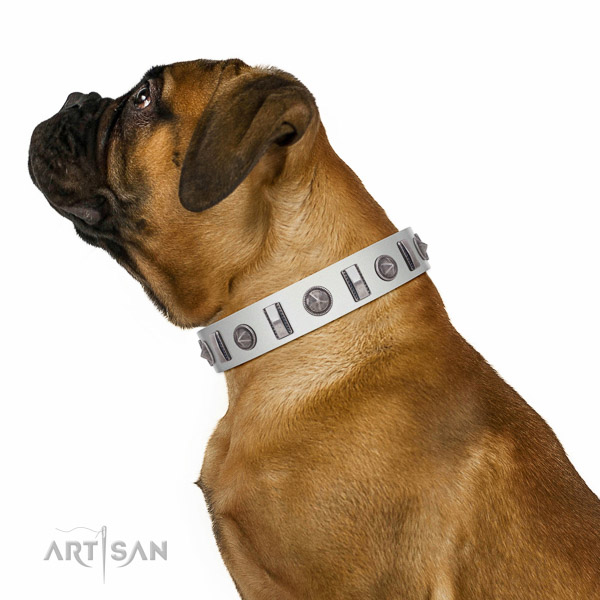 Walking top-notch quality walking leather Bullmastiff
collar