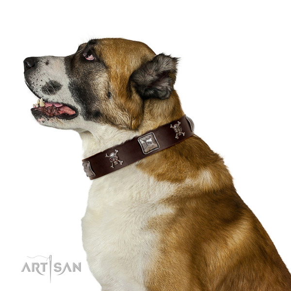 Soft Leather Central Asian Shepherd Collar is Comfortable
to Wear