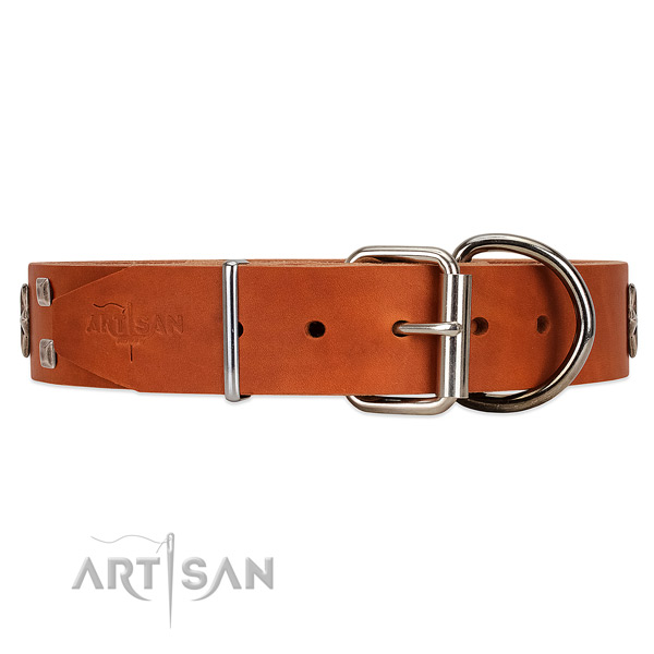 Long-lasting leather dog collar with belt-like buckle