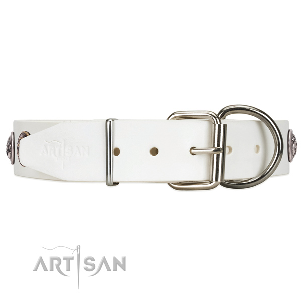 FDT Artisan leather dog collar with chrome plated steel
hardware