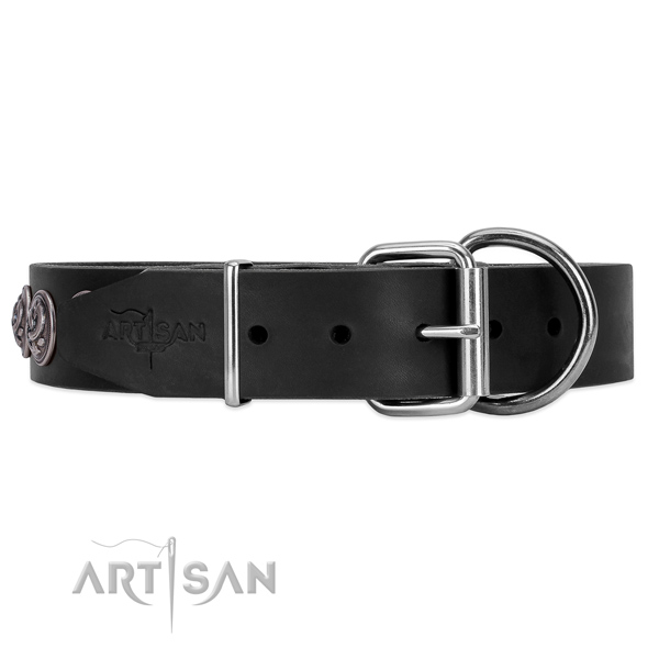 Leather dog collar with silver-like hardware