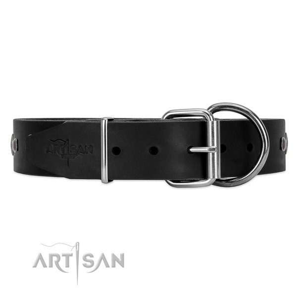 Leather dog collar with chrome plated hardware