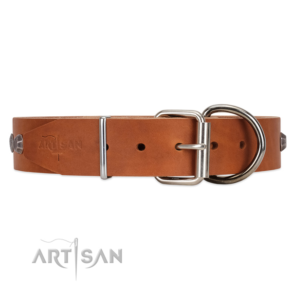 Leather dog collar with steel hardware