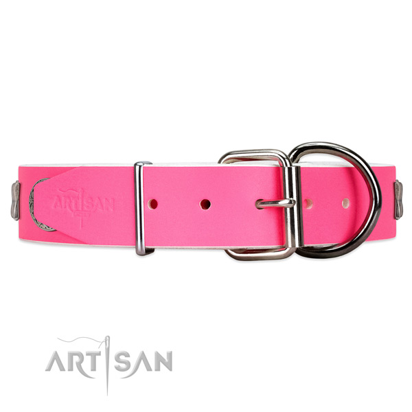 Leather dog collar with silver-like hardware